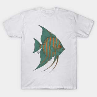 Angelfish - Vintage Japanese Style - Green Angel Fish T-Shirt